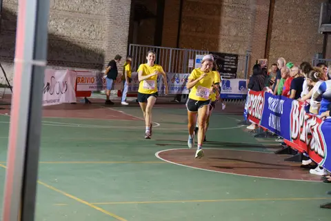Foto 334