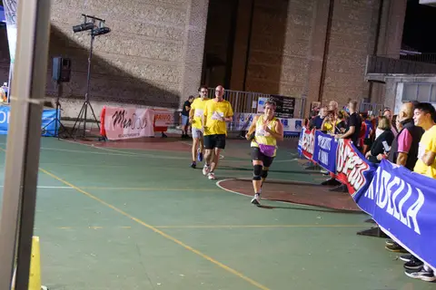 Foto 445